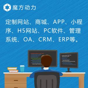 定制.net/java/php/h5网站商城app小程序pc软件系统oa/crm/erp/hr