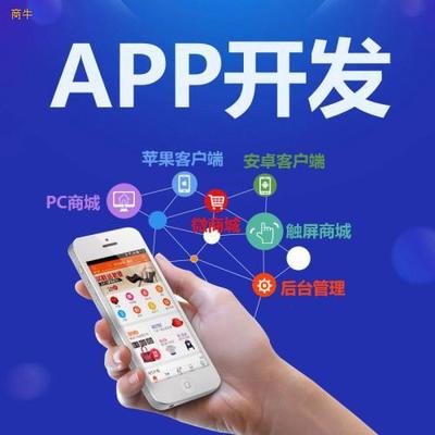 优点软件app开发优点系统开发定制