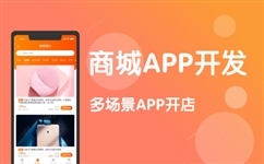 Win10应用商店无法安装应用的解决方案及商城系统开发概述