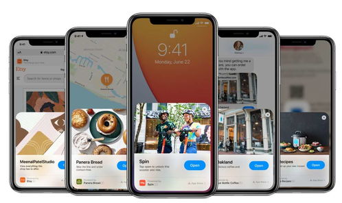 系统集成 发展空间依然广阔，商城网站与App定制前景可期
