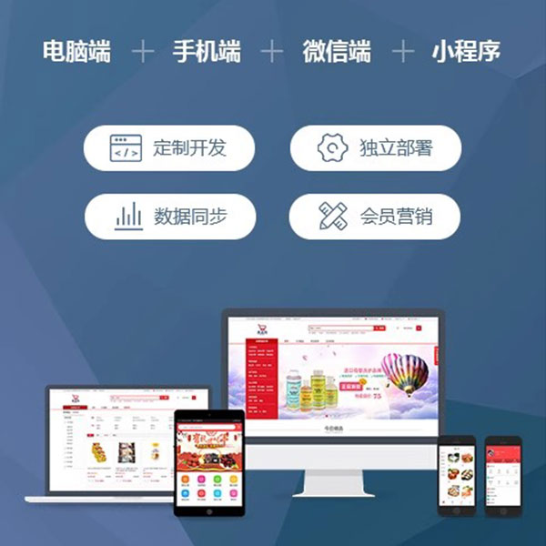 专业商城网站与APP系统定制开发解决方案