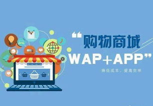 常州专业APP开发公司深度分析 电商APP解决方案与商城系统定制开发全攻略